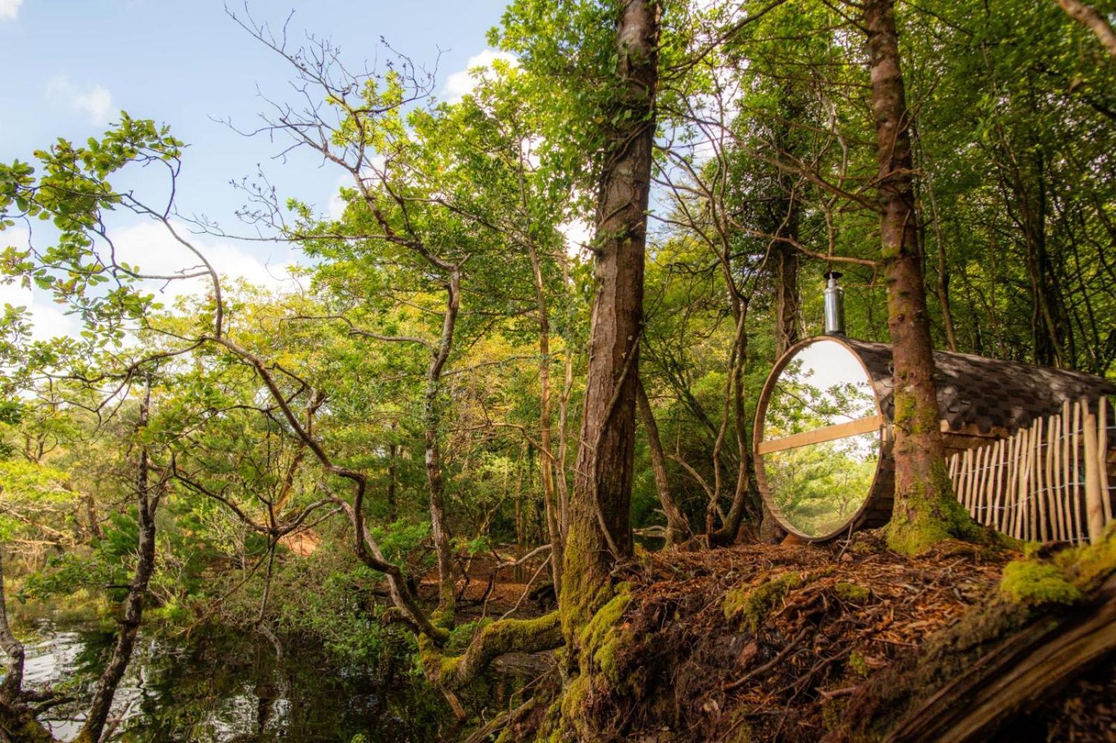 Ballynahinch Castle Hotel Εξωτερικό φωτογραφία